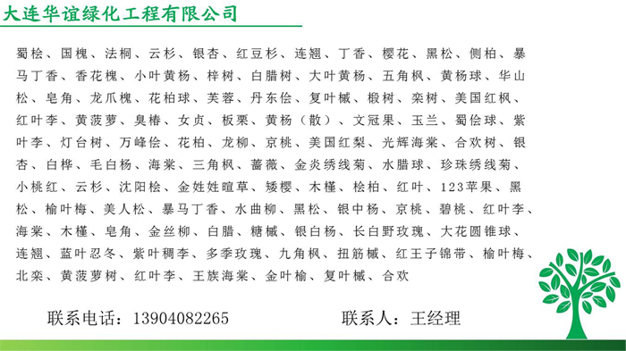 绿化树苗种类1.jpg
